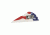 Bohning Blazer Vanes, American Flag 36 pk. 10831AF2