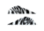 Bohning Blazer Vanes, White Tiger 100 pk. 10832WT2