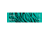 Bohning Tiger Arrow Wraps, Teal 4 in. 13 pk. 501001TT