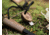 Boker Fire Starter
