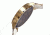 Boum BM1702 Marin Womens Watch, Multicolor BOUBM1702
