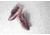 Brooks Glycerin 23 Running Shoes - Womens