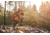 Bushnell Engage DX 10X42mm Roof Prism Binocular, WP/FP, EXO, DiElectric, Black, BENDX1042