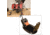 CargoBuckle Mount Tie-Down System Flush 39115