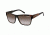 Carrera 42 Single Vision Rx Sunglasses - Horn Brown Black Frame CA42S07J4ZU