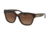 Coach L1076 HC8262F Progressive Prescription Sunglasses, 55mm, Tortoise, HC8262F-5120T5-55-PRO