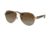 Coach L148 HC7063 Bifocal Prescription Sunglasses HC7063-9262T5-58 - Lens Diameter 58 mm, Frame Color Light Gold/Dark Tortoise