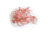 Ear Mold-LL-50-Pack