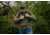 Condor Outdoor Summit Softshell Jacket, Olive Drab, 4XL, 602-001-4XL