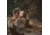 Covert Optics 8x42 Binocular, Roof Prism, Grey, CC0081