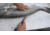 Cuda AquaTuff Wide Fillet Knife with Blade Cover, Blue, 7in, 23046