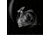 Daiwa Power Custom Exist G LT Spinning Reel, 5.7-1, 12BB, Ambidextrous, EXIGLT2500D-PCH