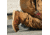 Danner Cedar River Moc 8in Aluminum Toe Work Shoes - Mens, Brown, 7 US, EE, 14303-7EE