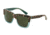 Dolce&amp;Gabbana DG4262 Sunglasses 297171-54 - Print Leo On Opal Green Frame, Grey Green Lenses