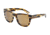 Dolce&amp;Gabbana NEW BOND STREET DG4223 Progressive Prescription Sunglasses DG4223-282683-55 - Lens Diameter 55 mm, Frame Color Brushed Striped Havana
