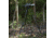 Double Tap Industries Stronghold Lite Aluminum Tripod w/Fixed Saddle Clamp, Black, 36mm, TRI-A-001F