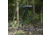 Double Tap Industries Stronghold Lite Aluminum Tripod w/Fixed Saddle Clamp, Black, 36mm, TRI-A-001F