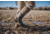 Dryshod Overland Hi Boot - Mens, Khaki/Timber, 13, OVR-MH-KH-013