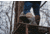 Dryshod Overland Hi Boot - Mens, Khaki/Timber, 13, OVR-MH-KH-013