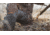 Dryshod Trailmaster Hunting Boot - Men's, Camo/Timber, 11, MBT-MH-CM-011