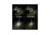 EAGTAC GX25L2-R22 Flashlight, XM-L2 U2 NW LED, 1208lm, Black, GX25L2-R22-XML2-BASE-NW