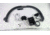 EDEMO Primo Ceramic Grills Grill Rotisserie Kit, Oval Large, PGLGR, EDEMO1