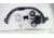 EDEMO Primo Ceramic Grills Grill Rotisserie Kit, Oval Large, PGLGR, EDEMO1