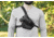 Elite Survival Systems Warden Ballistic Nylon Chest Holster, 2RDO, Right Hand, Black 7105-2RDO-RH