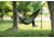 Eno TravelNest Hammock &amp; Straps Combo, Moss, One Size, TRN062
