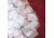 Erie Scientific Micro Cover Glasses, Case of 10, Rectangular, No. 11/2, 22X40-1.5