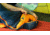 Exped Comfort -5C / +20F Sleeping Bags, Medium, Left Zip, 7640445450386