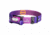 Fenix Lighting HM65R-T V2.0 Lithium Ion 1600 Lumens Luminus SST40 LED, Luminus SST20 LED Headlamp, Nebula, HM65RTV2NE
