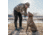 First Lite Challis Fleece Jacket - Mens