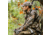 First Lite Furnace Quarter Zip - Mens