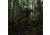 First Lite Omen Stormshelter Pants - Mens