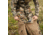 First Lite Omen Stormshelter Pants - Mens