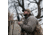 First Lite Primer Puffy Jacket - Mens
