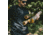 First Lite ThermaGrid Merino Henley - Mens