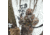 First Lite Thermic Insulated Jacket - Mens