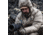 First Lite Whitecloud Down Jacket - Mens