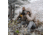 First Lite Whitecloud Down Jacket - Mens