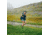Fjallraven Abisko Wool Short Sleeve - Womens, Black, Small, F84101-550-S