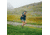 Fjallraven Abisko Wool Short Sleeve - Womens, Dark Navy, Extra Small, F84101-555-XS