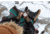 Forsake Lucie Winter Boot - Women's, Black, 9.5 US, WFW20LB1-001-95