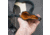 Galco Masterbilt Master Agent Rig Charter Arms Undercover / Smith &amp; Wesson J Frame M36 Shoulder Holster