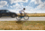Garmin Varia RCT715 Rear Light, Black, 010-02474-00