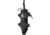 Granite Gear Bottle Holster, Black, One size, 23157-0001-PC
