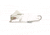 Greenfish Tackle Brandon Cobb Toad Toter Buzz, Clacker White, BCTTBCW