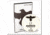 Gun Video DVD - Gunsite: Tactical Carbine 1 X0179D