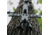 Hawk Treestands Hawk Helium Climbing Stick 1208497